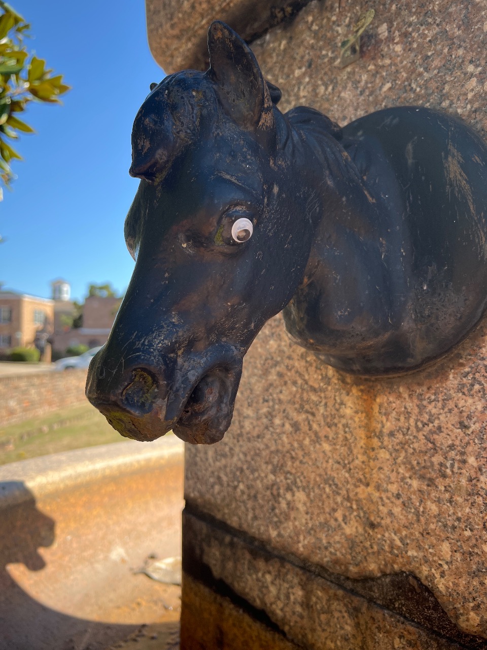 Puzzling Adventures near Acropolis Heights