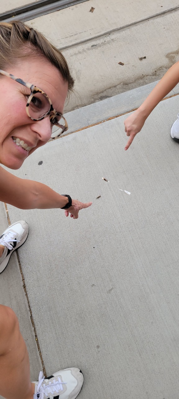 Puzzling Adventures near Hyde Park Lodge