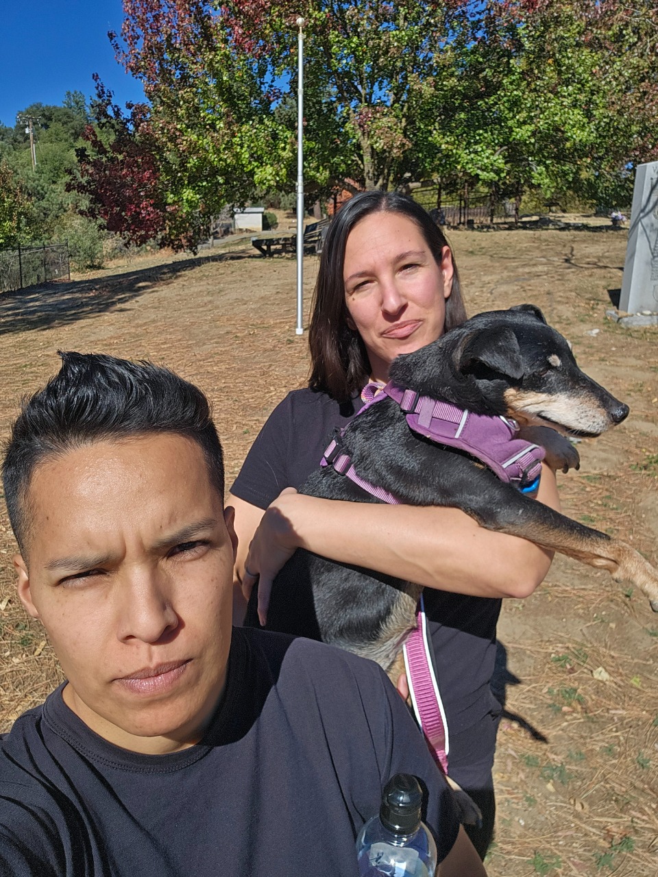 Puzzling Adventures near Julian