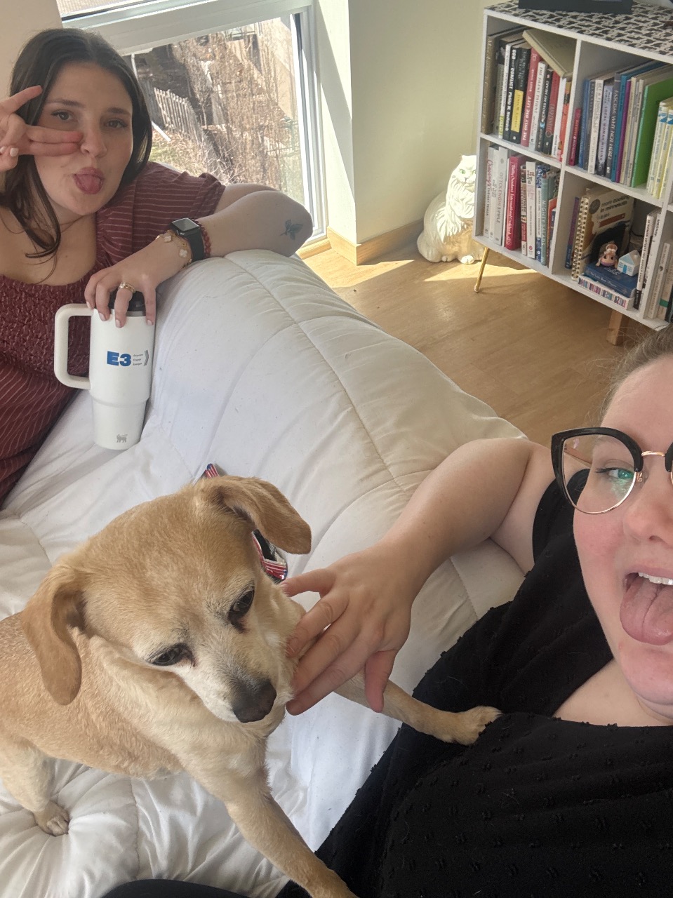 Puzzling Adventures near Crystal