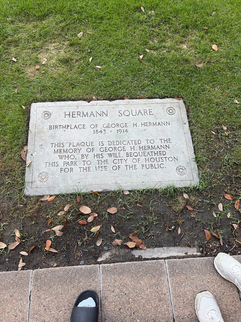 Puzzling Adventures near Forest Hill